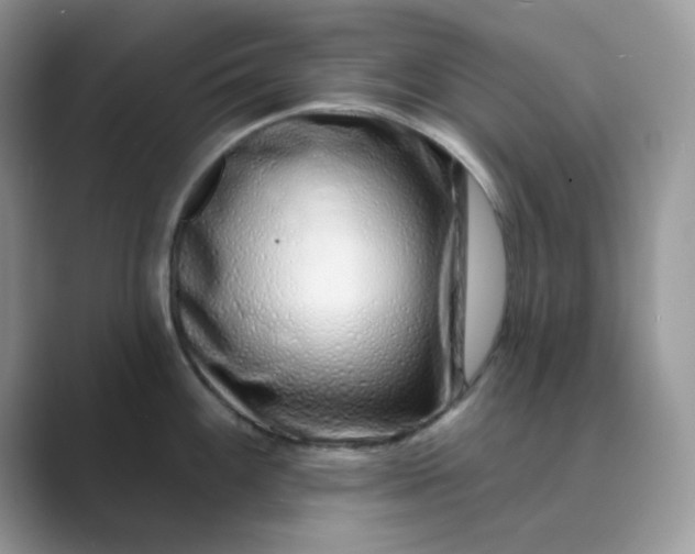 X0000089741100200707051752