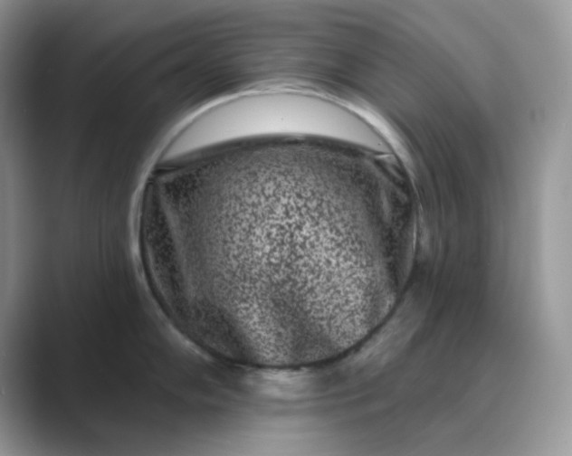 X0000089741102200707051752