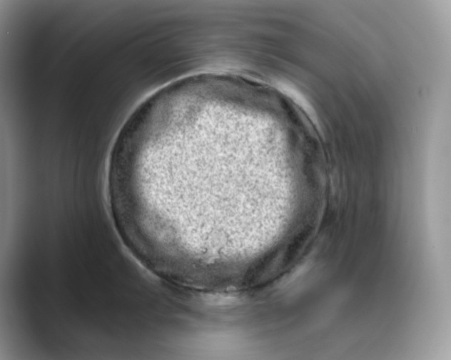 X0000089741103200707051752