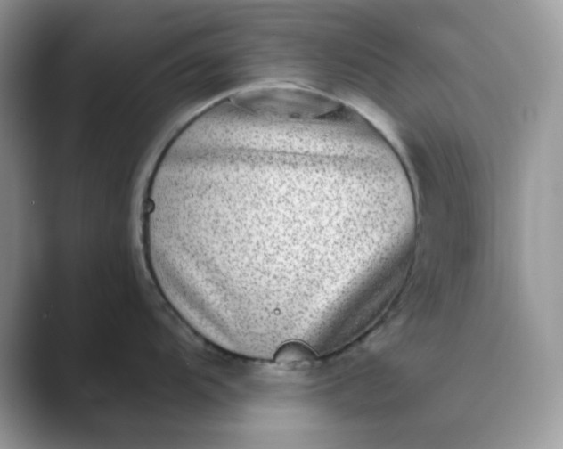 X0000089741104200707051752