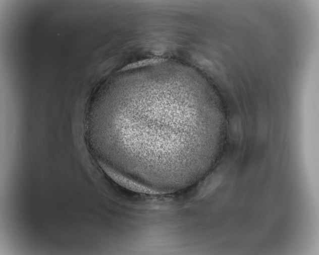 X0000089741105200707051752