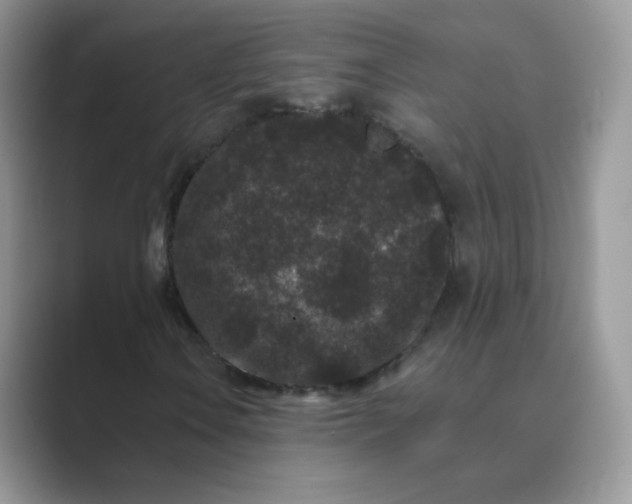 X0000089741106200707051752