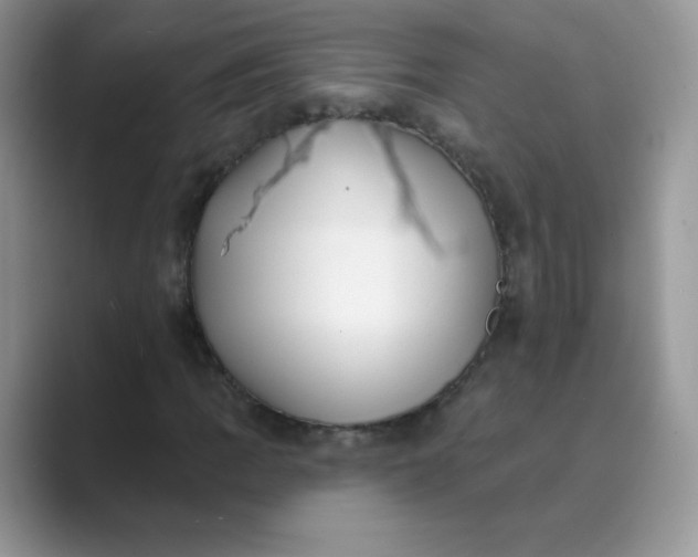 X0000089741109200707051752