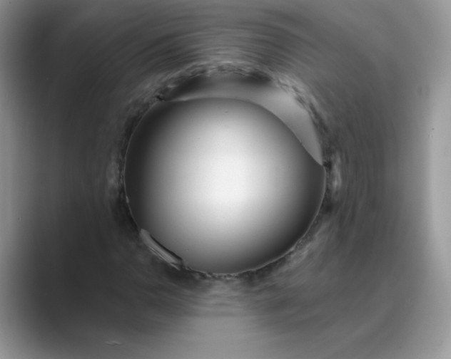 X0000089741110200707051752