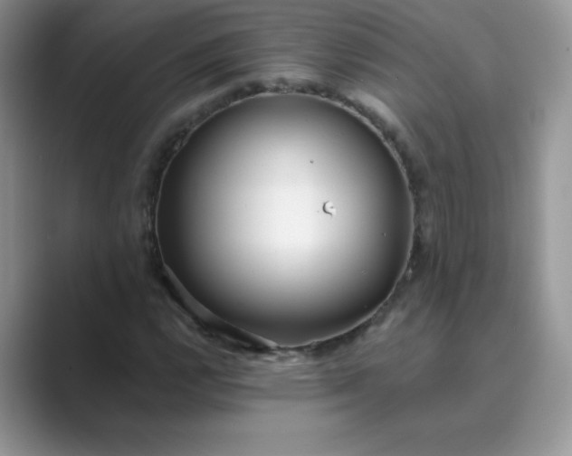 X0000089741112200707051752