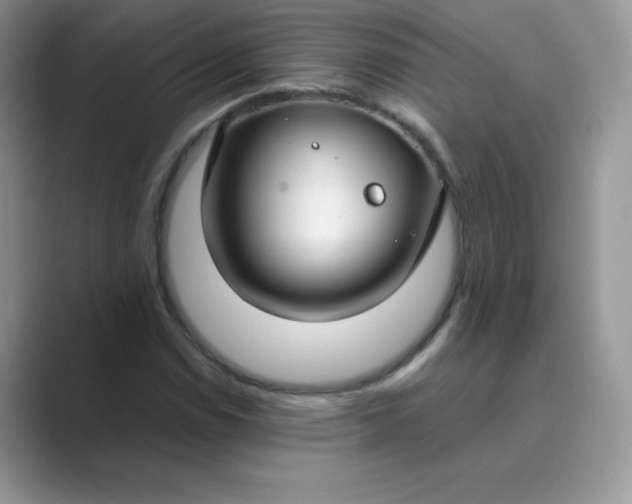 X0000089741114200707051752