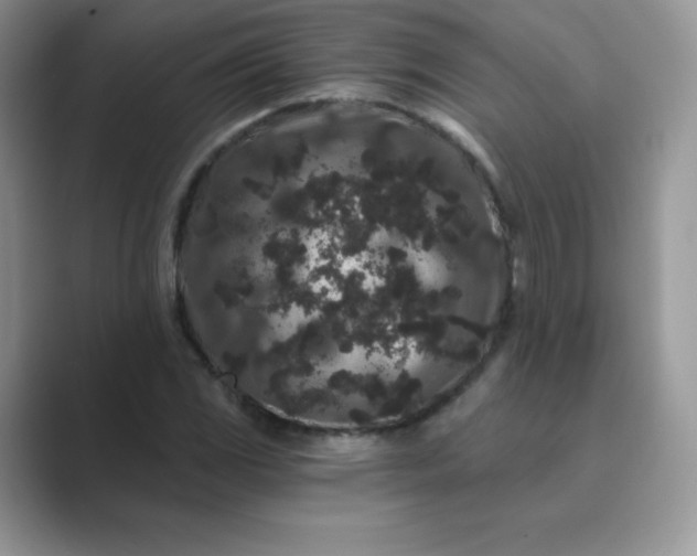 X0000089741117200707051752