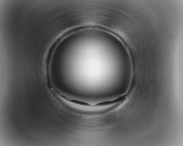 X0000089741118200707051752