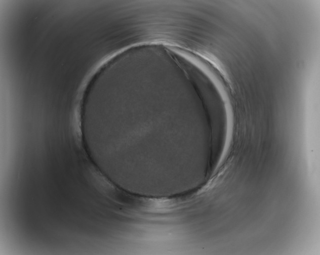 X0000089741120200707051752