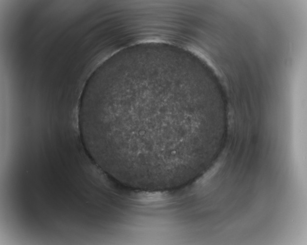 X0000089741121200707051752