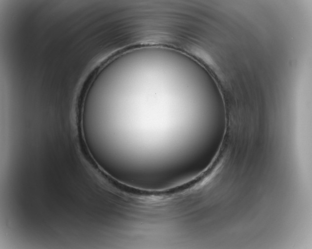 X0000089741122200707051752