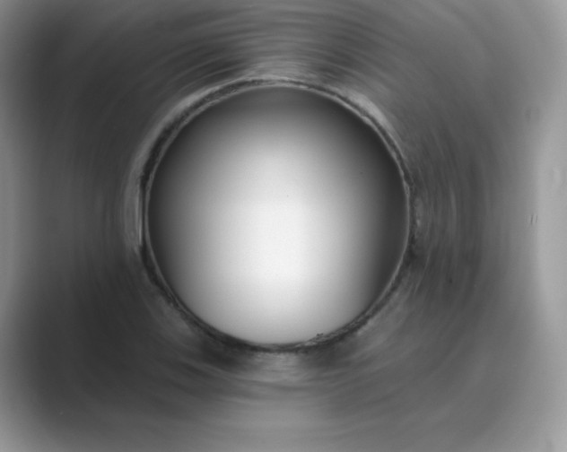 X0000089741123200707051752