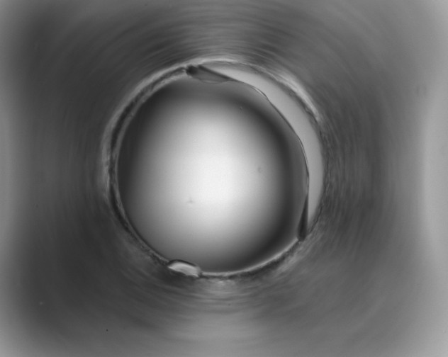 X0000089741124200707051752