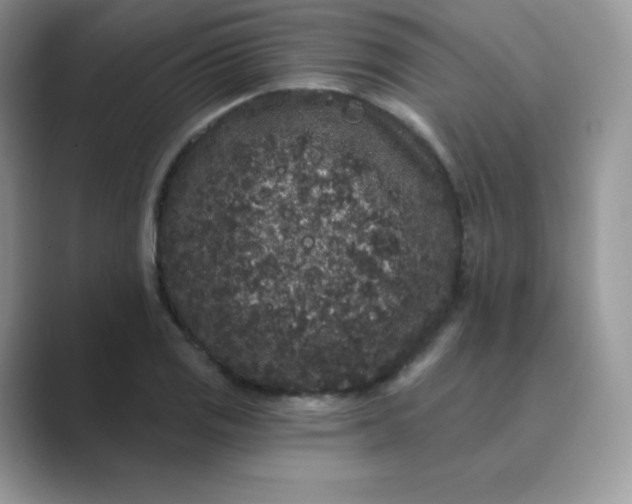 X0000089741125200707051752