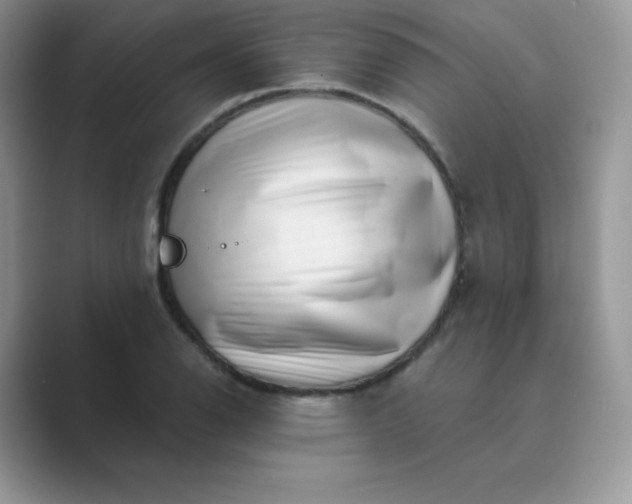 X0000089741126200707051752