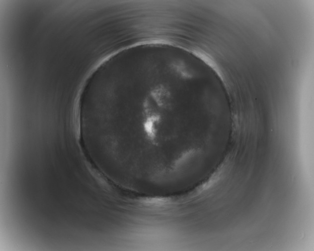 X0000089741127200707051752