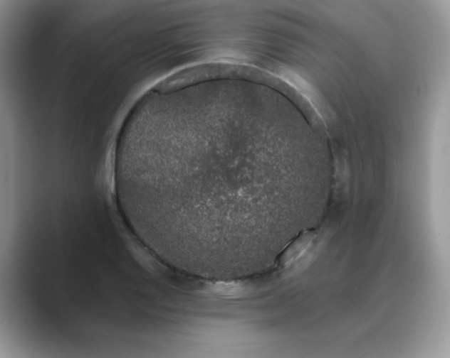 X0000089741128200707051752