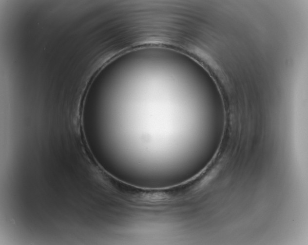 X0000089741129200707051752