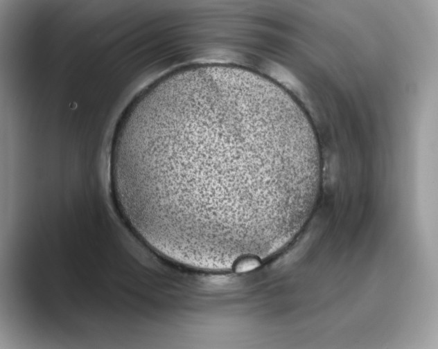 X0000089741130200707051752