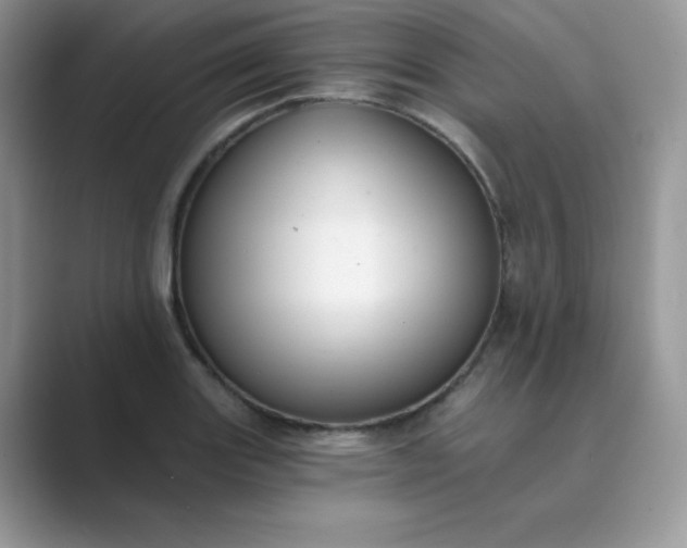 X0000089741131200707051752