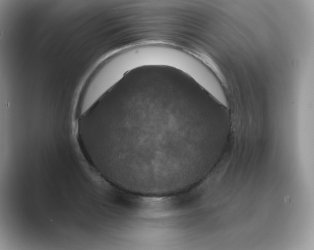 X0000089741132200707051752