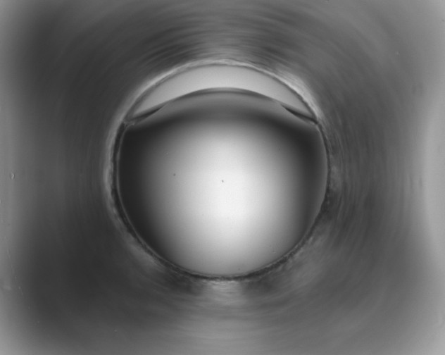 X0000089741136200707051752