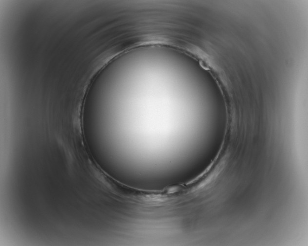 X0000089741137200707051752