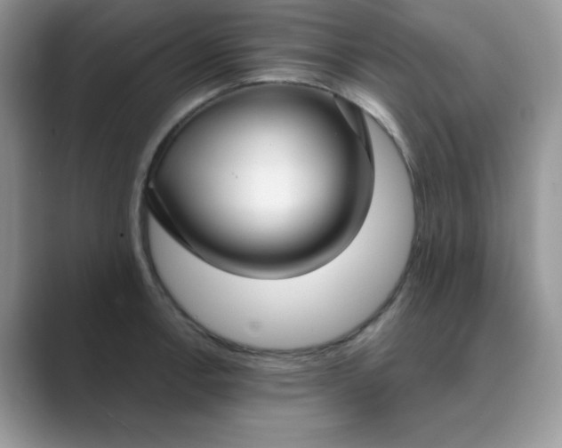 X0000089741138200707051752