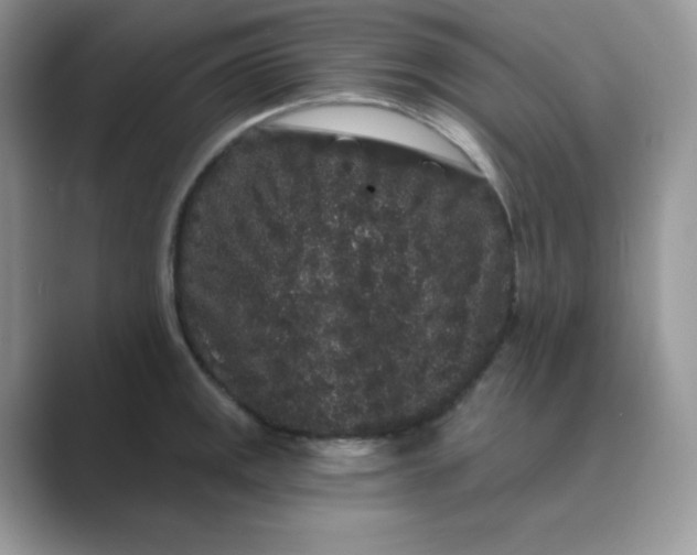 X0000089741141200707051752