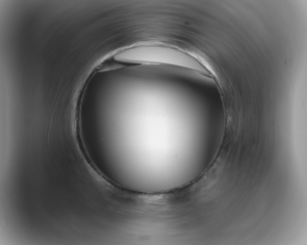 X0000089741143200707051752