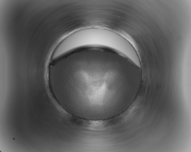 X0000089741144200707051752