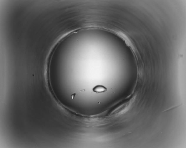 X0000089741149200707051752