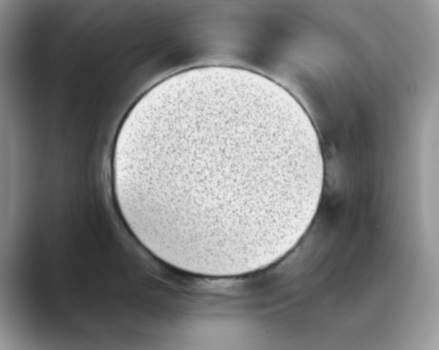 X0000089741150200707051752