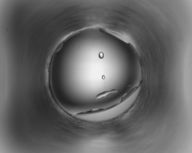 X0000089741151200707051752