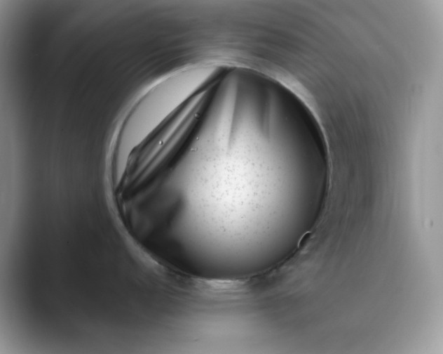 X0000089741152200707051752