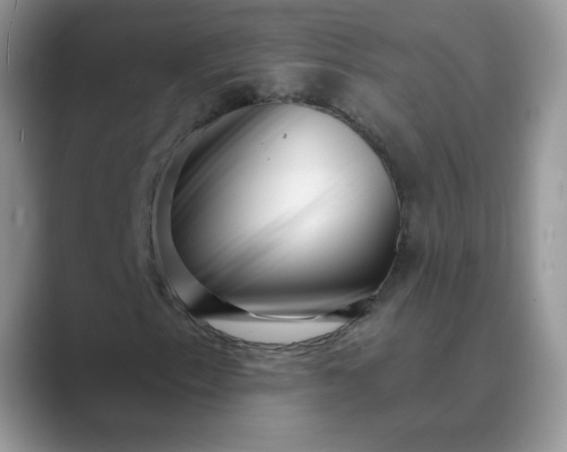 X0000089741153200707051752