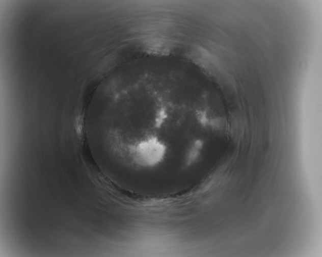 X0000089741154200707051752