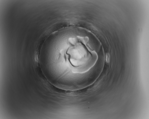 X0000089741155200707051752