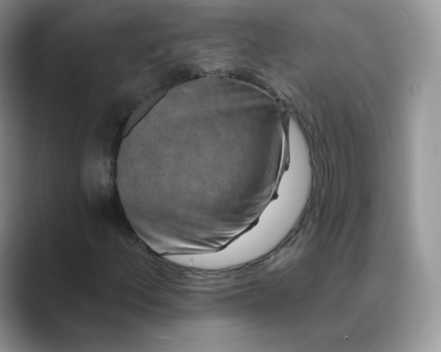 X0000089741156200707051752