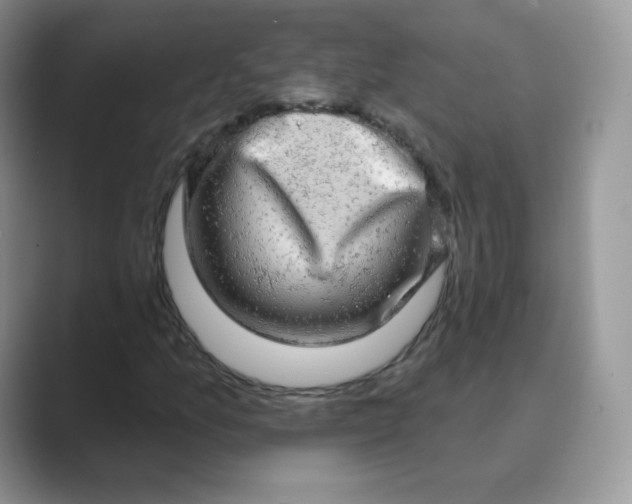 X0000089741157200707051752