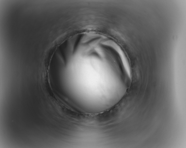 X0000089741158200707051752