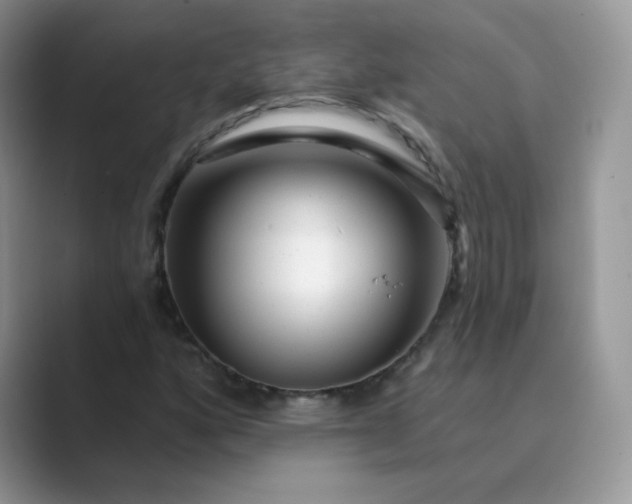 X0000089741160200707051752