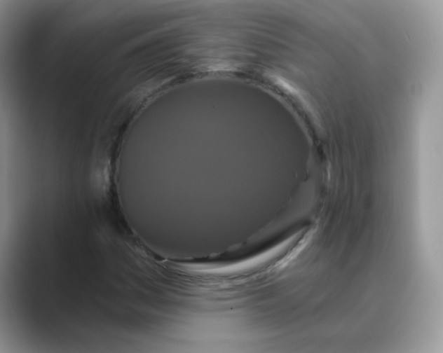 X0000089741161200707051752