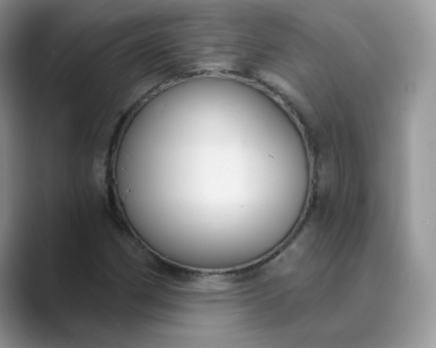 X0000089741162200707051752