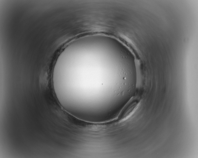 X0000089741163200707051752