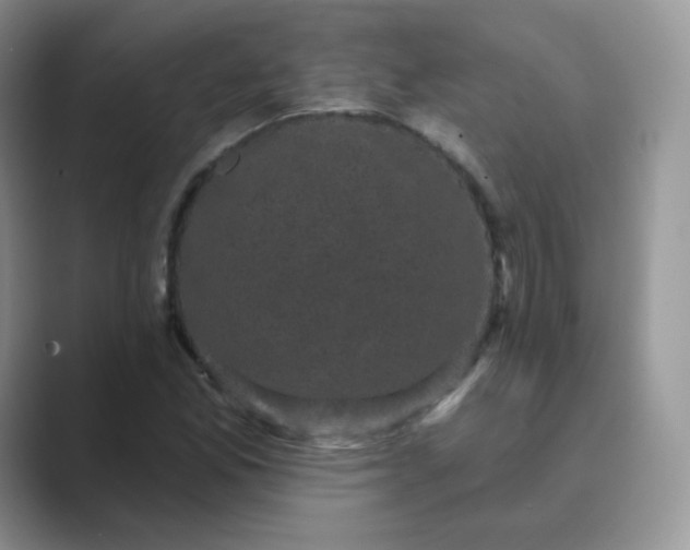 X0000089741165200707051752