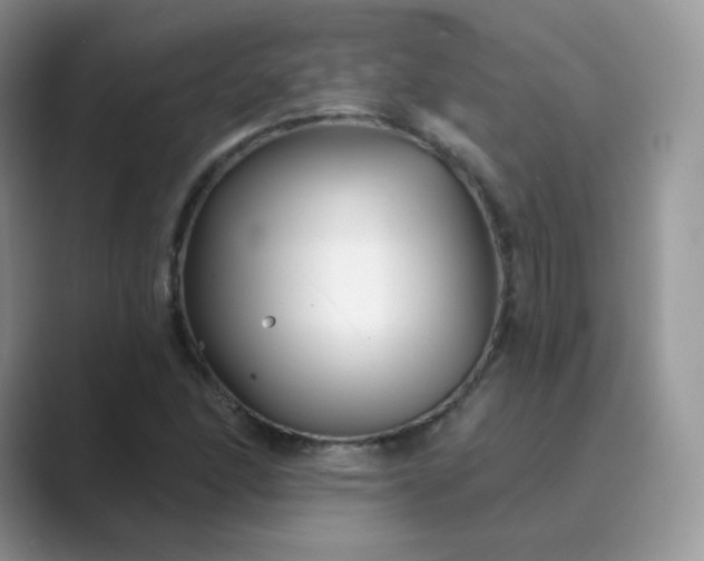 X0000089741166200707051752