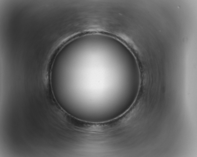 X0000089741167200707051752