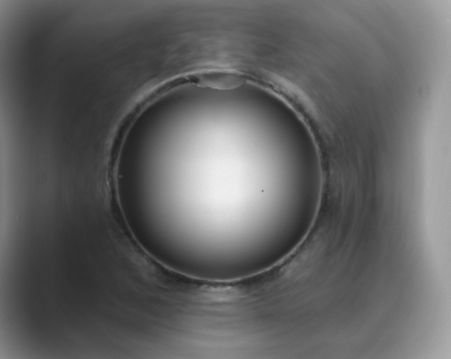 X0000089741168200707051752