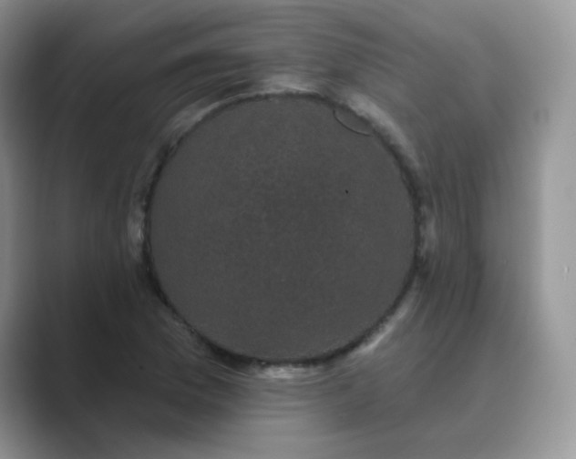 X0000089741169200707051752